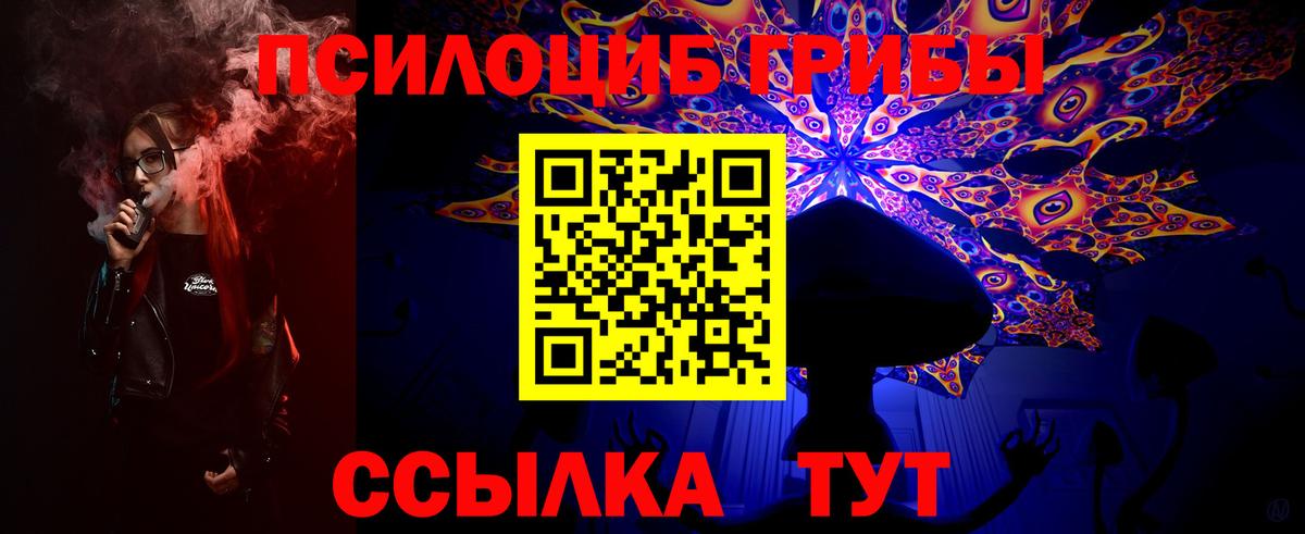 Феодосия  Псилоцибиновые грибы Psilocybine cubensis  Вход с VPN 